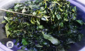 طريقة عمل الملوخية