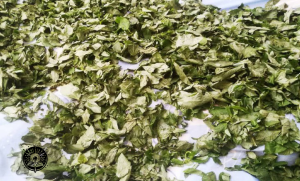 طريقة عمل الملوخية